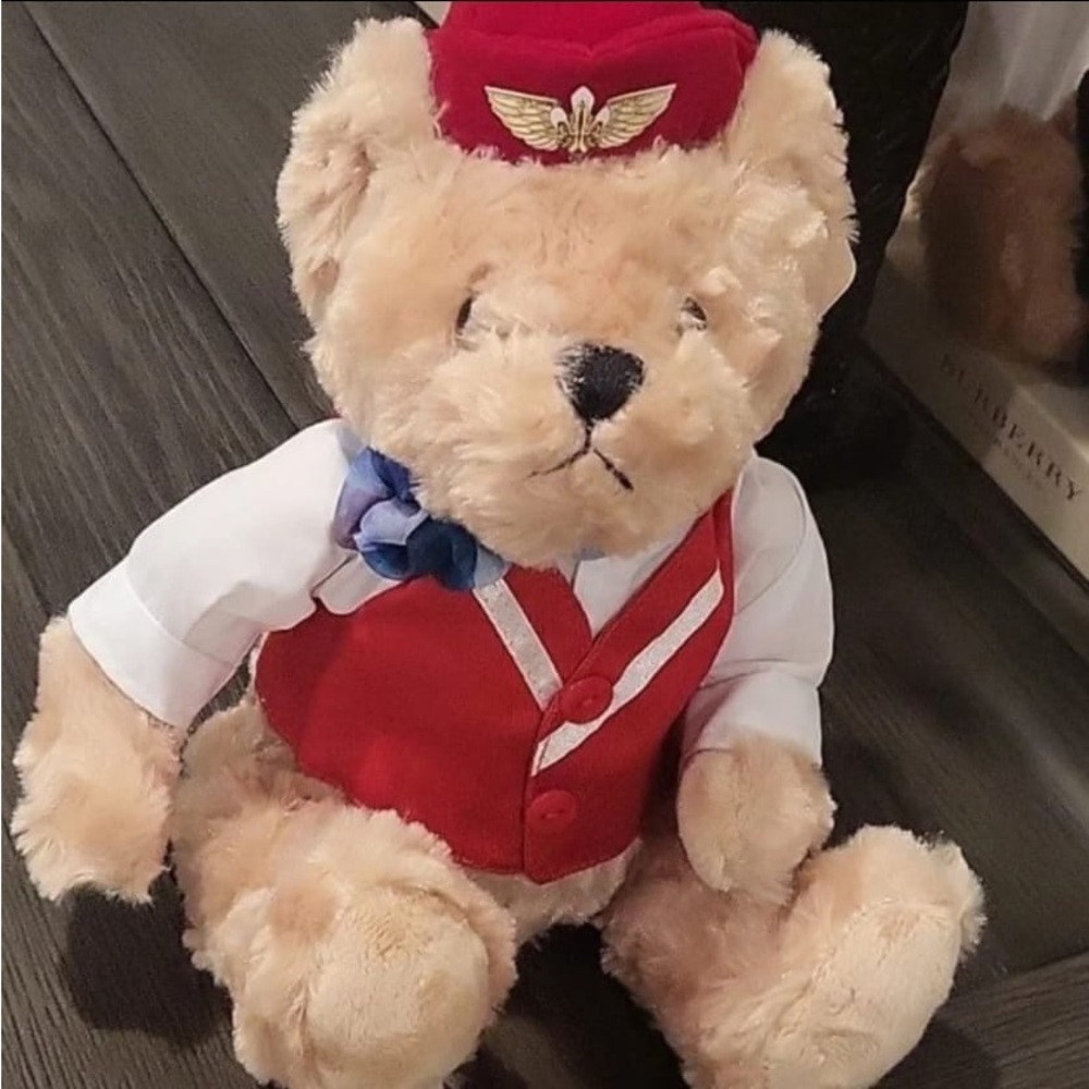Flight AttendantTeddy Bear with Red Vest